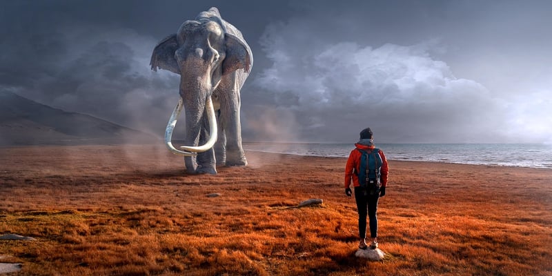 Temporal Encounters
